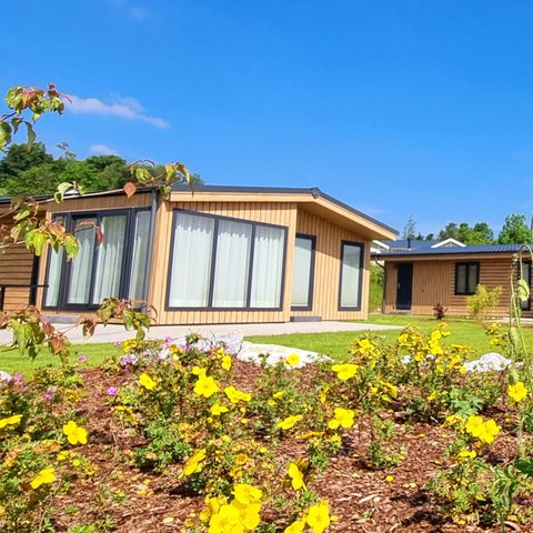 Camping & Ferienpark Brilon - Camping Rhénanie du Nord-Westphalie - Image N°4