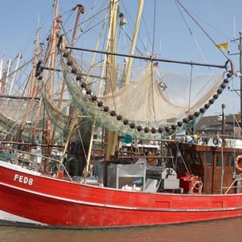 Ferienpark Am Meer Burhave - Camping Basse-saxe - Image N°3