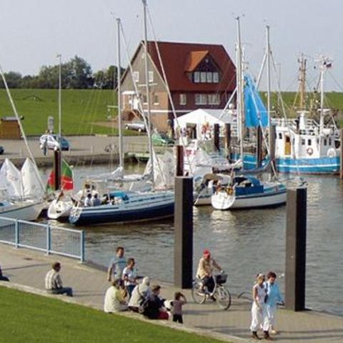 Ferienpark Am Meer Burhave - Camping Basse-saxe - Image N°2