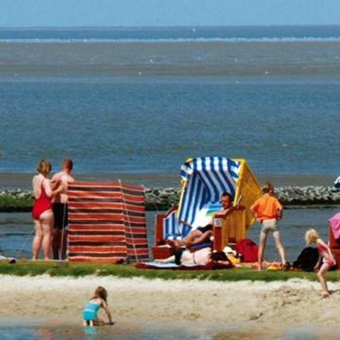 Ferienpark Am Meer Burhave - Camping Basse-saxe - Image N°6