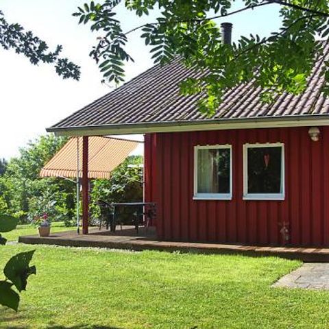 Ferienpark Extertal - Camping Rhénanie du Nord-Westphalie - Image N°4