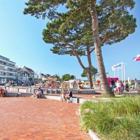 Ferienpark Scharbeutz Ostsee - Camping Schleswig-Holstein - Image N°2