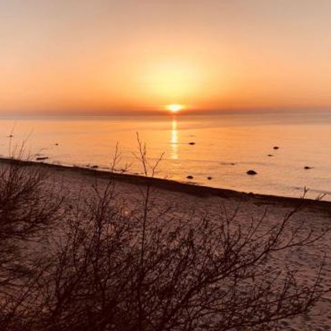 FYNNUS Feriendorf Am Bakenberg - Camping Mecklembourg-Poméranie occidentale - Image N°4