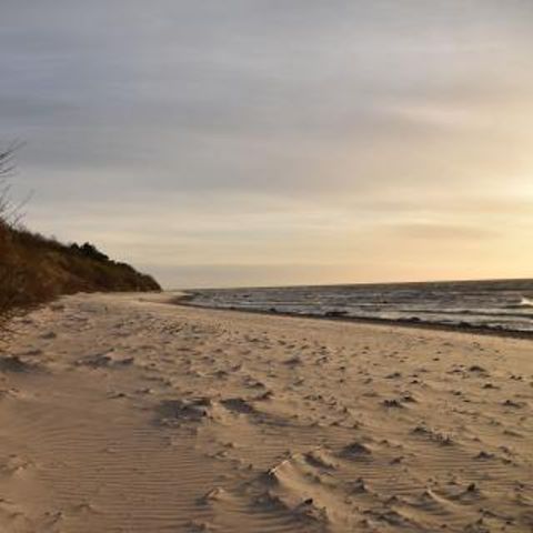 FYNNUS Feriendorf Am Bakenberg - Camping Mecklembourg-Poméranie occidentale - Image N°3