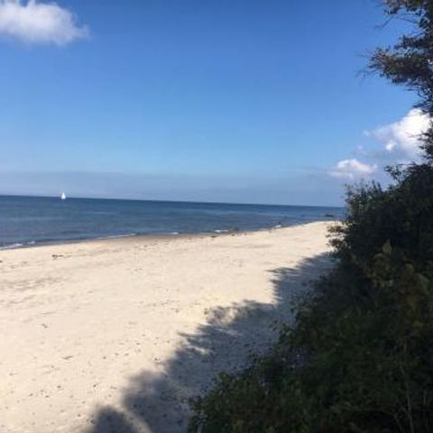 FYNNUS Feriendorf Am Bakenberg - Camping Mecklembourg-Poméranie occidentale - Image N°2