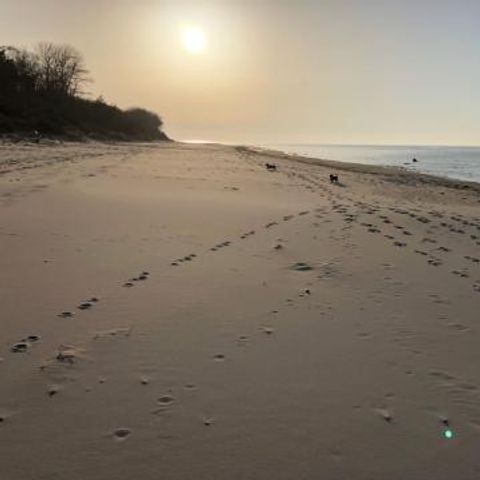 FYNNUS Feriendorf Am Bakenberg - Camping Mecklembourg-Poméranie occidentale - Image N°5