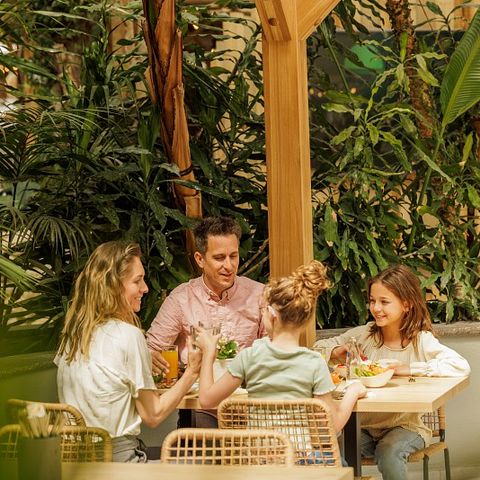 Center Parcs Park Eifel - Camping Rhénanie-Palatinat - Image N°3