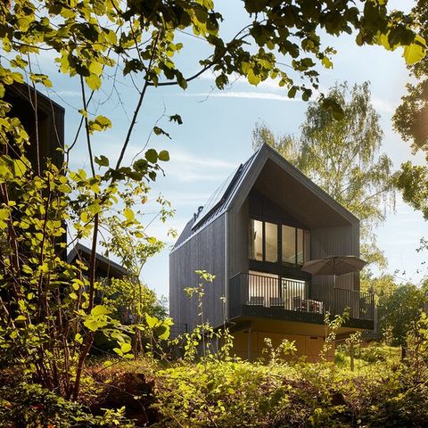 Center Parcs Park Eifel - Camping Rhénanie-Palatinat - Image N°6