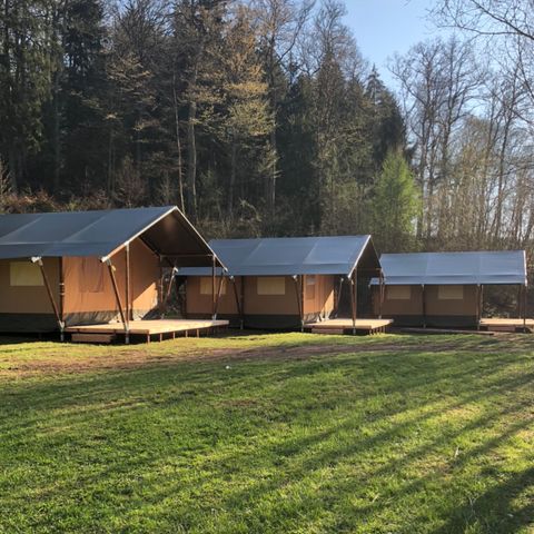 TENTE TOILE ET BOIS 6 personnes