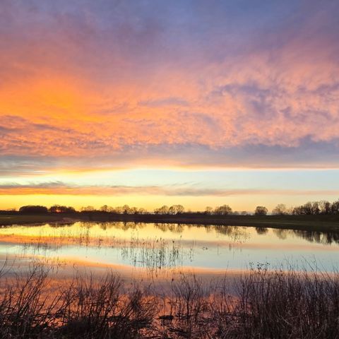 Vodatent Camping Elbeling  - Camping Basse-saxe - Image N°3