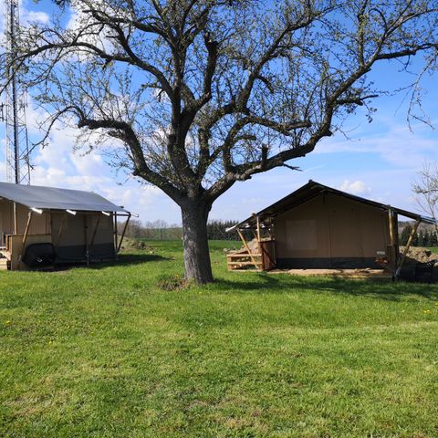 Tente en toile et en bois 4 personnes