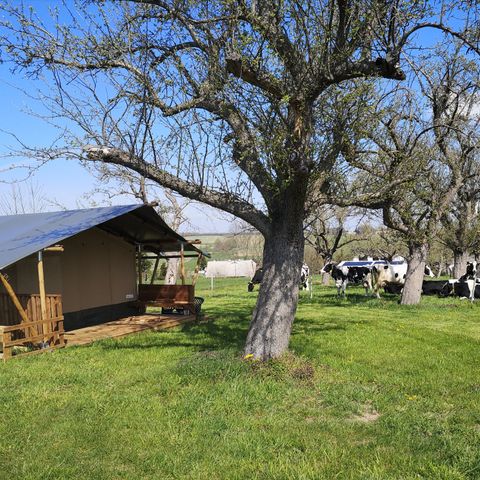 Tente en toile et en bois 4 personnes