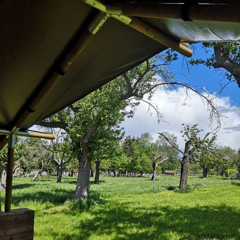 TENTE TOILE ET BOIS 4 personnes