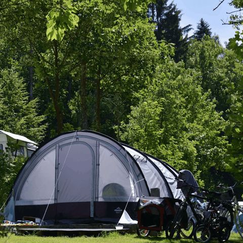 EuroParcs Biggesee - Camping Rhénanie du Nord-Westphalie - Image N°5