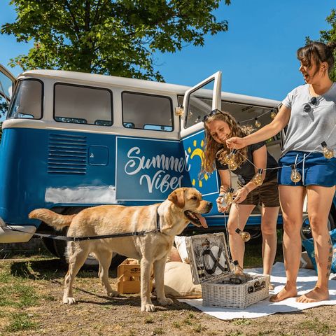 EuroParcs Biggesee - Camping Rhénanie du Nord-Westphalie - Image N°4