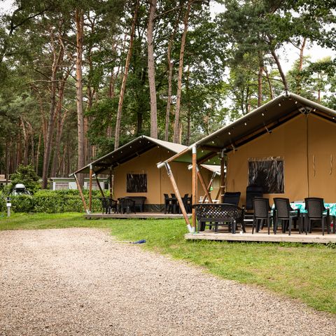 TENTE TOILE ET BOIS 6 personnes - Tente safari