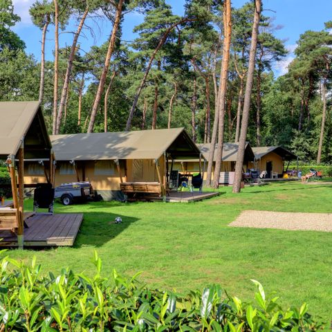 TENTE TOILE ET BOIS 6 personnes - y compris les installations sanitaires