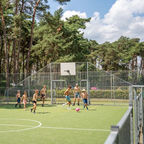 Vodatent Familiepark Goolderheide - Camping Rhénanie du Nord-Westphalie - Image N°2