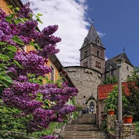 Erzberg Alpin Resort - Camping Styrie - Image N°4