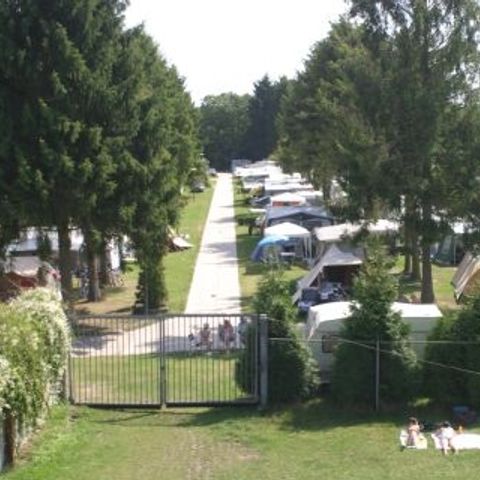 Vakantiecentrum De Lage Kempen - Camping Limburg Belge - Image N°6