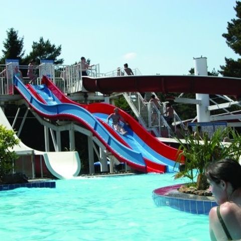 Vakantiecentrum De Lage Kempen - Camping Limburg Belge - Image N°3