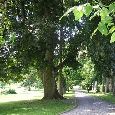 Gîte d'Etape de VillersSteGertrude - Camping Luxembourg - Image N°5