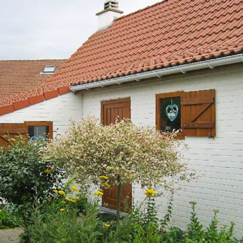 New Village Park - Camping Flandre Occidentale - Image N°2