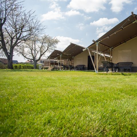 TENTE TOILE ET BOIS 6 personnes - prime Maaszicht