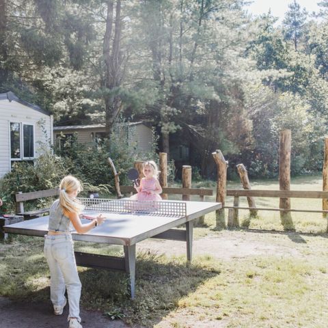 Vodatent Camping Siësta - Camping Anvers - Image N°3