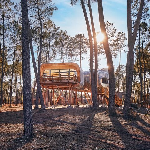 HÉBERGEMENT INSOLITE 6 personnes - Maison de l'arbre LG2241
