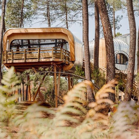 HÉBERGEMENT INSOLITE 6 personnes - Maison de l'arbre LG2241
