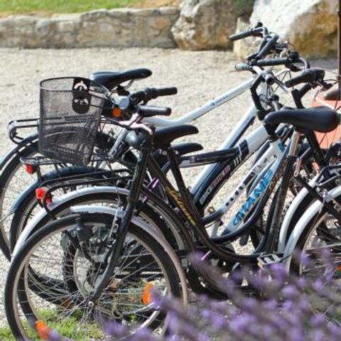 Le Domaine du Lac - Camping Drome - Image N°2