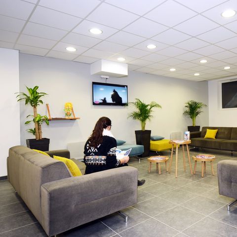 Les Balcons d'Aurea - Camping Isère - Image N°5