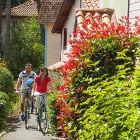 Pierre & Vacances Residence Lacanau Les Pins - Camping Gironde - Image N°5