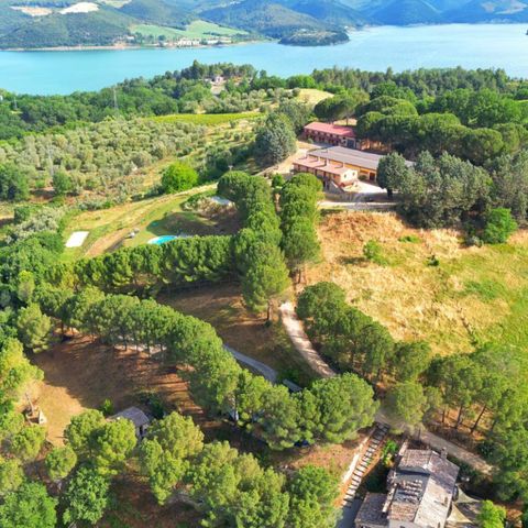 Vodatent Camping Casa & Glamping Sorriso - Camping Terni - Image N°2