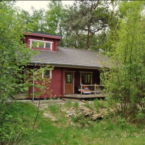 Hoor de Stilte - Camping De Wolden - Image N°6