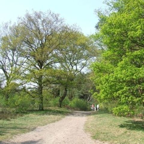 Hoor de Stilte - Camping De Wolden - Image N°3