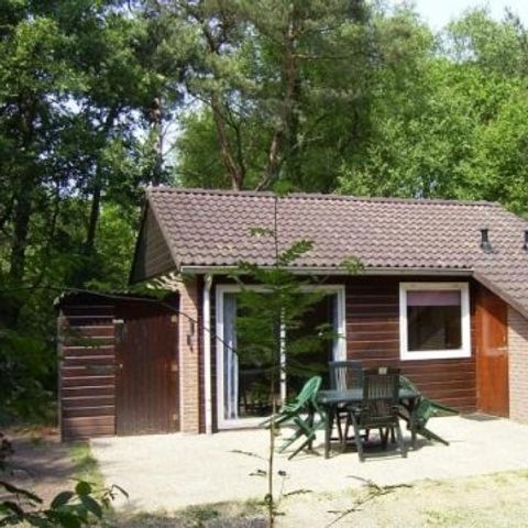 Hoor de Stilte - Camping De Wolden - Image N°4