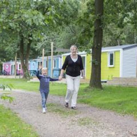 Vakantiepark Het Stoetenslagh - Camping Hardenberg - Image N°3