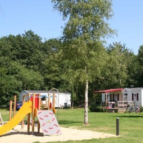 Vakantiepark Het Stoetenslagh - Camping Hardenberg - Image N°6