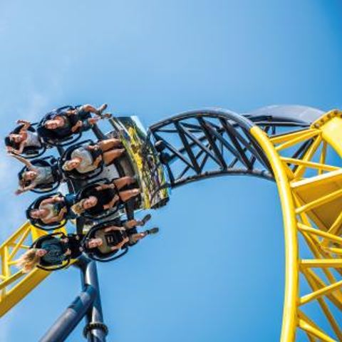 Walibi Village - Camping Dronten - Image N°3