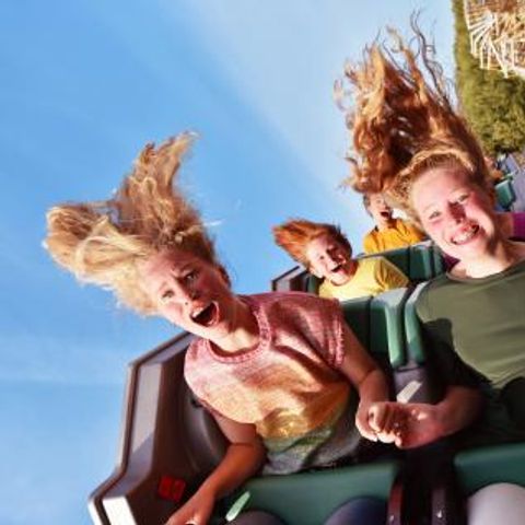 Walibi Village - Camping Dronten - Image N°5