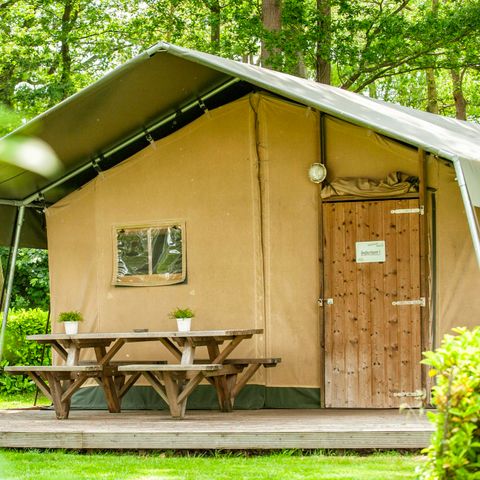 TENTE TOILE ET BOIS 5 personnes