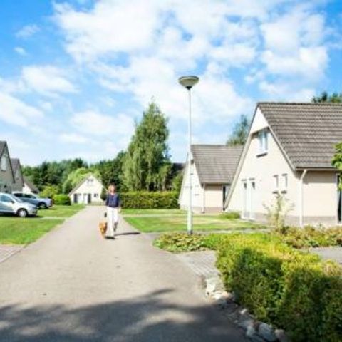 Vakantiepark 't Posterbos - Camping Roerdalen - Image N°4