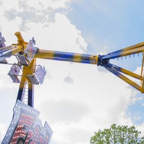 Bungalowpark Drouwenerzand - Camping Borger-Odoorn - Image N°5