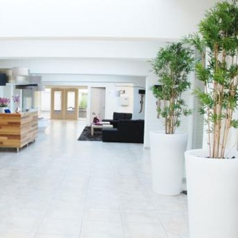 Strandresort Schier - Camping Südwest-Friesland - Image N°6