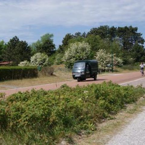 Strandresort Schier - Camping Südwest-Friesland - Image N°2