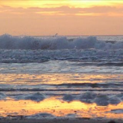 Strandresort Schier - Camping Südwest-Friesland - Image N°5