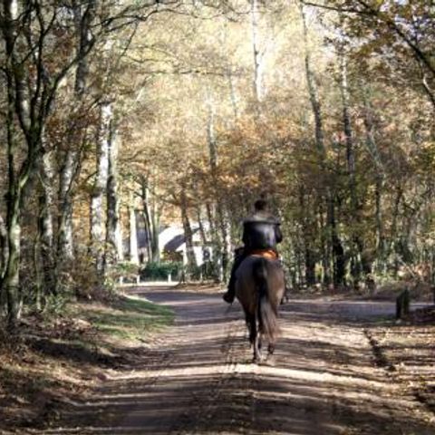 Vrijrijck Vlindervallei - Camping Ermelo - Image N°4