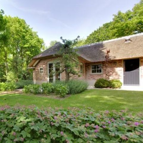 Vrijrijck Vlindervallei - Camping Ermelo - Image N°2